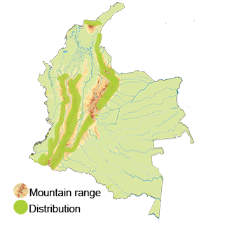 Distribution of the Black and Chestnut Eagle