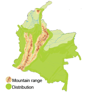 Distribution of the Black and White Hawk Eagle