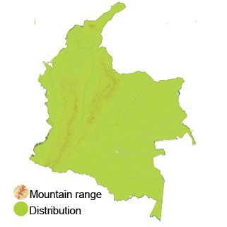 distribution of the Common Nighthawk