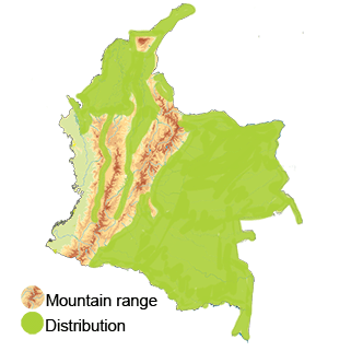 distribution of the Roseate Spoonbill