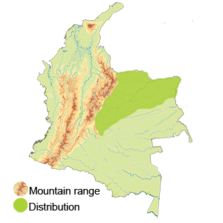 Distribution of the Sharp-tailed Ibis
