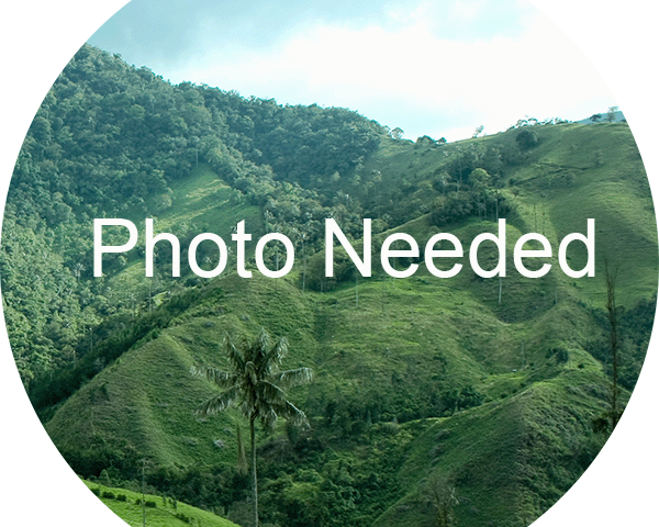 Photo Needed for Highland Motmot