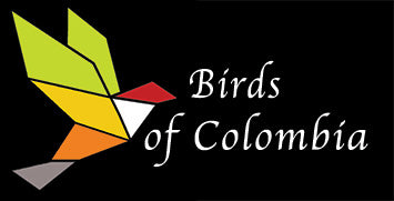 Birds of Colombia