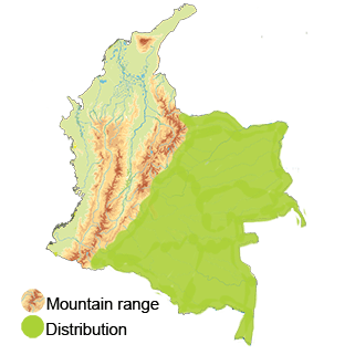 distribution of the Amazonian Sunbittern