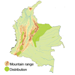 map of colombia for the american com duck