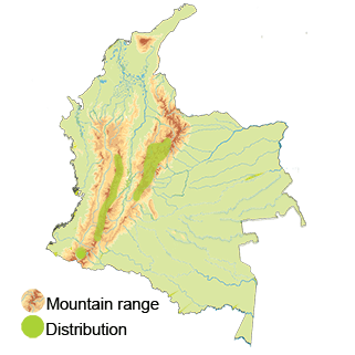 distribution of the andean duck