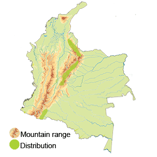 Distribution of the Andean Potoo