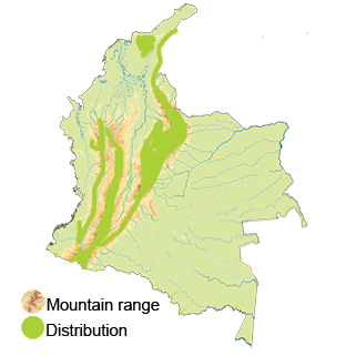 distribution of the band-winged nightjar