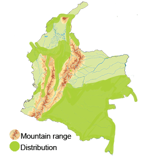 Distribution of the Black-hawk Eagle