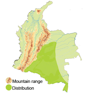 distribution in Colombia of the black-throated hermit