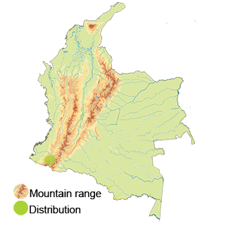 distribution of the black-winged-ground-dove