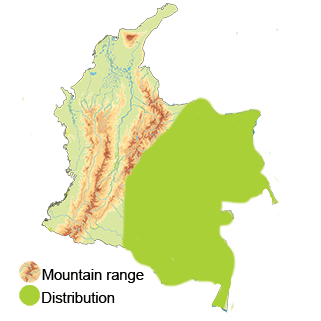 Distribution of the Blackish Nightjar