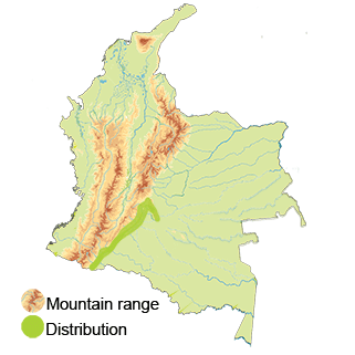 Distribution of the blue-fronted lance bill