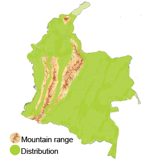 distribution of the blue-ground dove