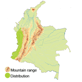 distribution of the bronzy-hermit in Colombia