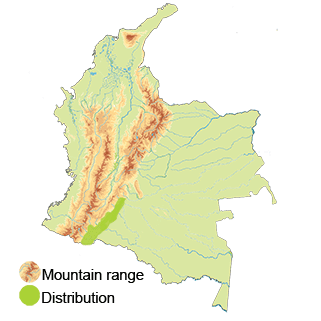 distribution of the Buff-tailed Sicklebill