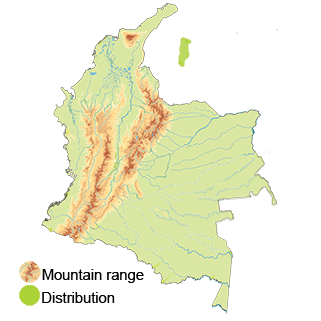 Distribution of the Caribbean Dove in Colombia