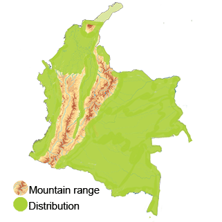 distribution in Colombia of the Common Potoo 