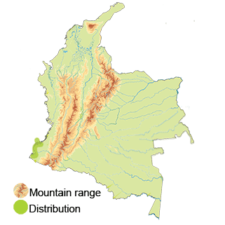 Distribution of the Croaking Ground-dove