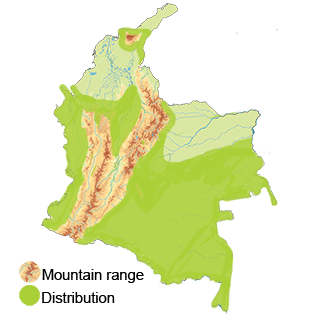 Distribution of the Double-toothed Kite