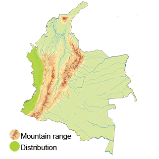 distribution of the Dusky Pigeon