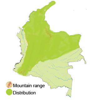 distribution for the eared dove and mourning dove