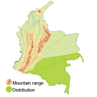 distribution of Fiery Topaz in Colombia