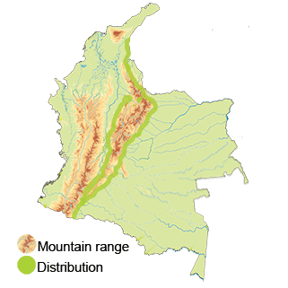 distribution of the Geoffroy;s Daggerbill