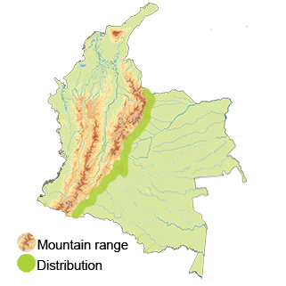 distribution of the Gray-chinned Hermit