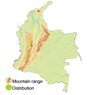 distribution of the Gray-headed-dove