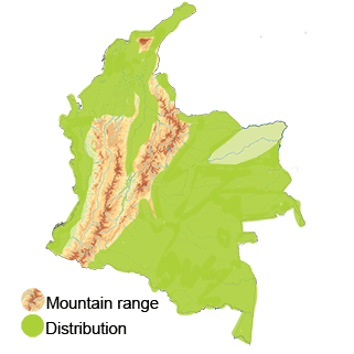 distribution of the gray-headed-kite