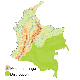 Distribution of the Great-0billed Hermit