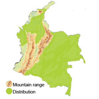 distribution of the Great Potoo in Colombia