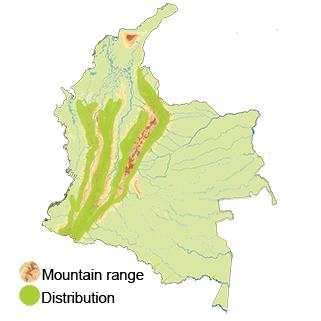 distribution of the Green-fronted Lancebill