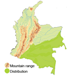 Distribution of the Ladder-tailed Nightjar