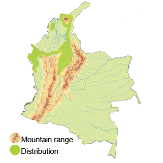 distribution of the Long-billed Hermit