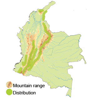 distribution of the Maroon-chested Ground-dove