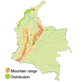 map of Colombia for northern shoveler-duck, pato cucharo