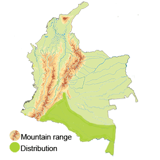 distribution map of the ocellated poorwill in Colombia