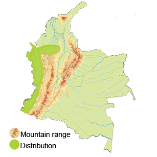 distribution of the Olive-back Quail-dove in Colombia