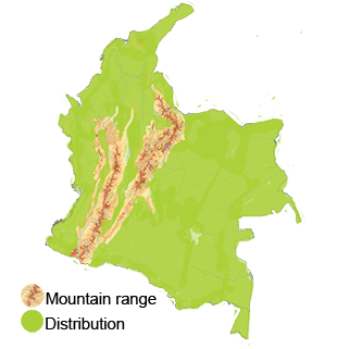 distribution of the Pale-vented Pigeon in Colombia