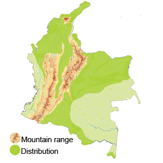 distribution of the Pearl Kite in Colombia