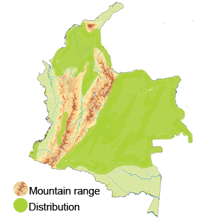 distribution of the plain-breasted ground-dove