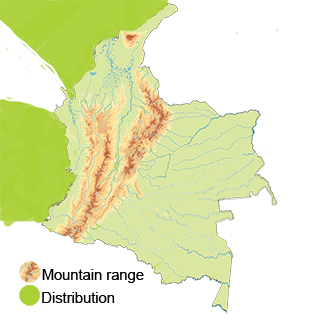 distribution of the red-billed tropicbird