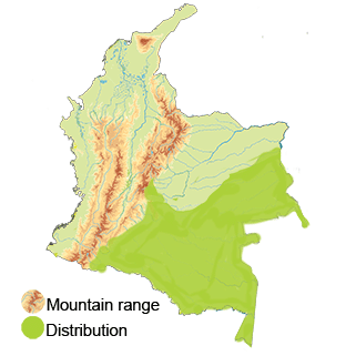 distribution of the Reddish Hermit in Colombia