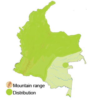 Distribution in Colombia of the Rock Dove