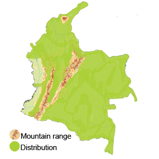 distribution of the ruddy Ground-dove