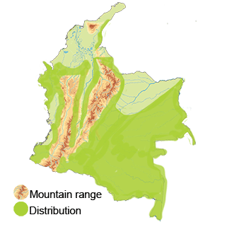 distribution of the Ruddy Pigeon in Colombia