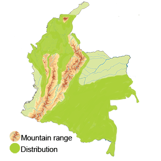 Distribution of the Rufous-breasted Hermit