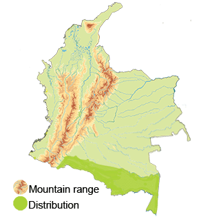 Rufous Potoo Distribution in Colombia